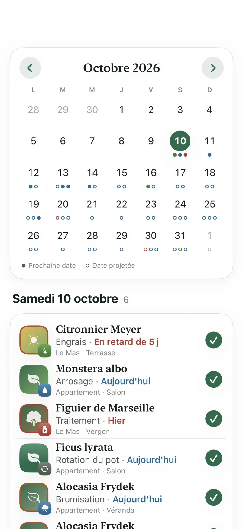 Le calendrier mensuel des soins dans Oasis Rare.