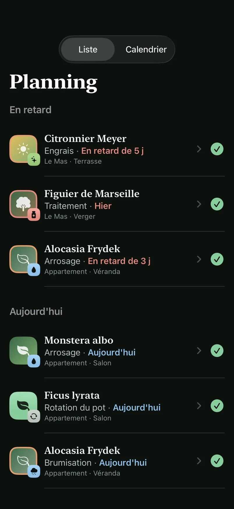 Le planning des soins dans Oasis Rare, en mode sombre.